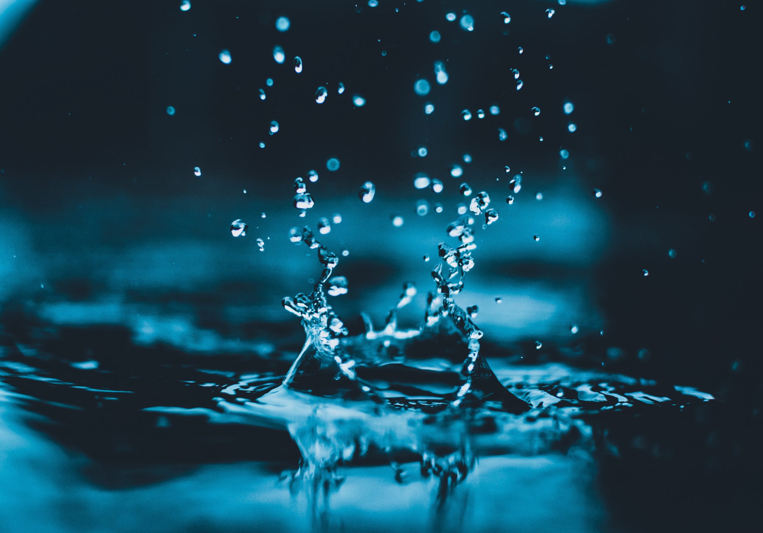 Światowy Dzień Wody – jak ją oszczędzać?